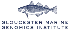 gmgi-logo-mobile