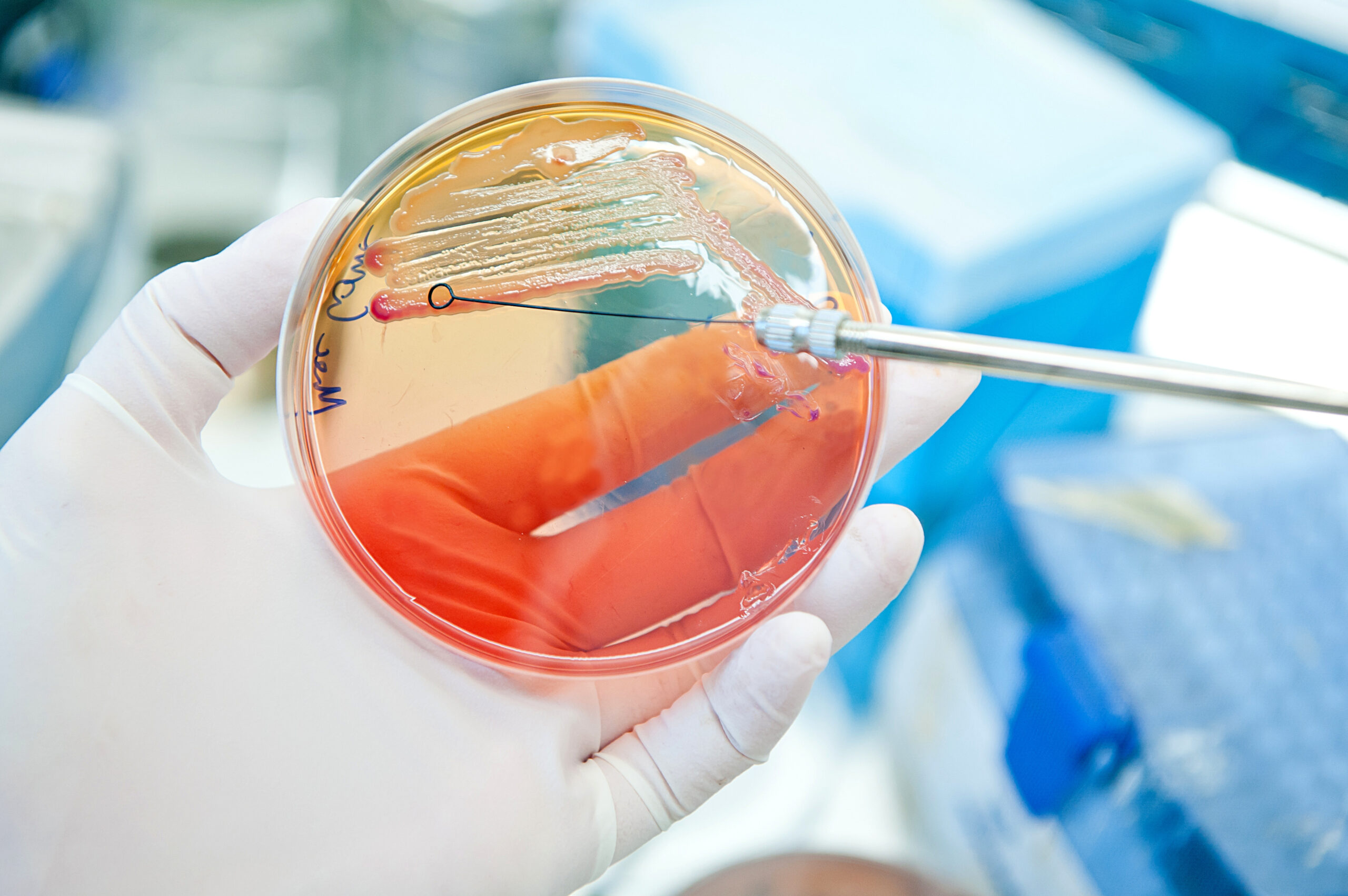 Microbiologist